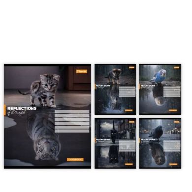 Зошит учнівський 1В Inner strength А5/24 аркуші клітинка 1 Вересня 768960